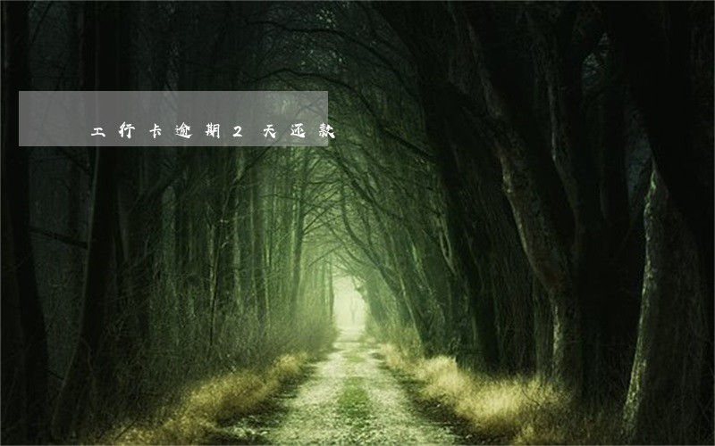 工行卡逾期2天还款 工行卡逾期2天还款