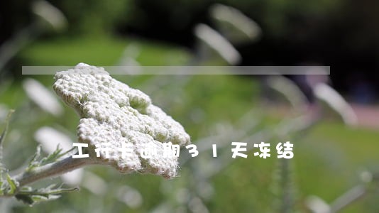 工行卡逾期31天冻结