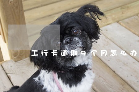工行卡逾期9个月怎么办
