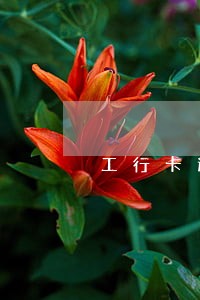 工行卡逾期半年欠款1万 工行卡逾期半年欠款1万
