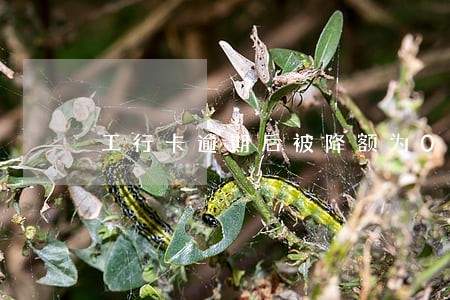 工行卡逾期后被降额为0 工行卡逾期后被降额为0