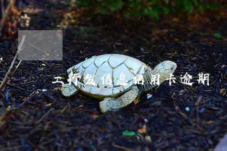 工行发信息信用卡逾期