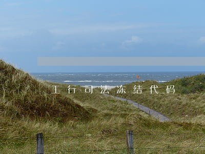 工行司法冻结代码 工行司法冻结代码