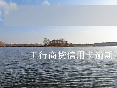 工行商贷信用卡逾期 工行商贷信用卡逾期