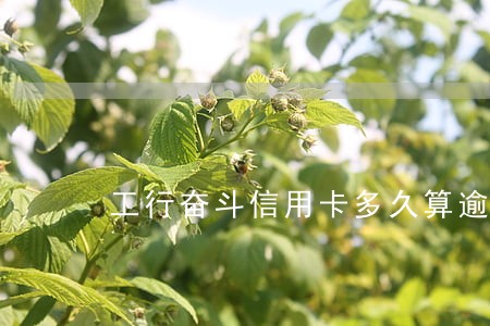 工行奋斗信用卡多久算逾期 工行奋斗信用卡多久算逾期