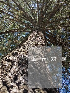 工行对逾期贷款的贵定 工行对逾期贷款的贵定
