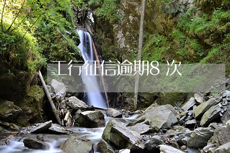 工行征信逾期8次 工行征信逾期8次