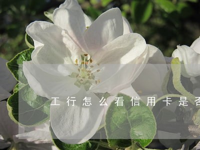 工行怎么看信用卡是否逾期 工行怎么看信用卡是否逾期