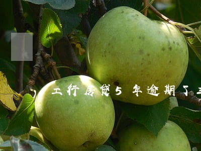 工行房贷5年逾期了三次 工行房贷5年逾期了三次