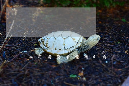 工行房贷卡逾期6天 工行房贷卡逾期6天