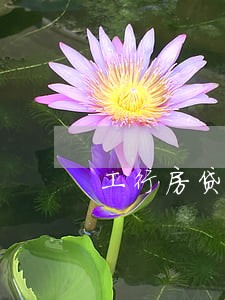 工行房贷逾期10天影响大不大 工行房贷逾期10天影响大不大