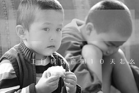 工行房贷逾期10天怎么办 工行房贷逾期10天怎么办