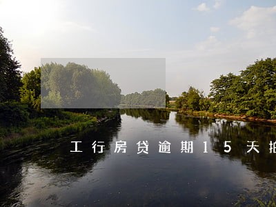 工行房贷逾期15天拍卖会怎么样 工行房贷逾期15天拍卖会怎么样