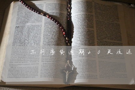 工行房贷逾期20天没还
