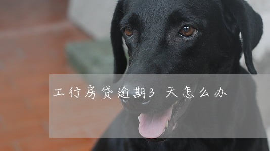 工行房贷逾期3天怎么办 工行房贷逾期3天怎么办