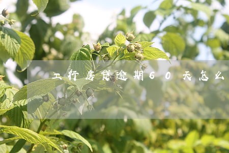 工行房贷逾期60天怎么办 工行房贷逾期60天怎么办