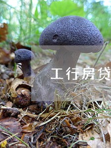 工行房贷逾期6个月 工行房贷逾期6个月