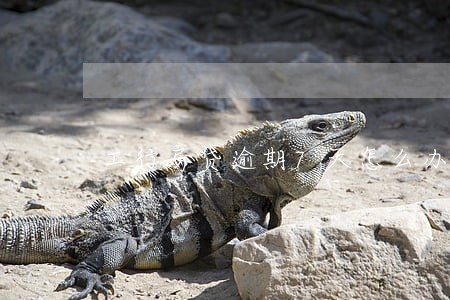 工行房贷逾期7天怎么办 工行房贷逾期7天怎么办