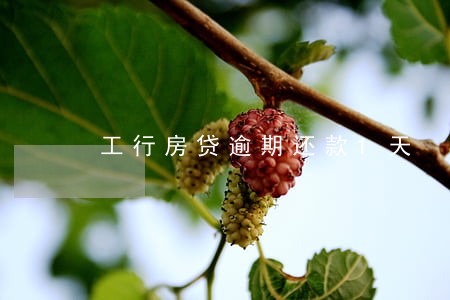 工行房贷逾期还款1天 工行房贷逾期还款1天