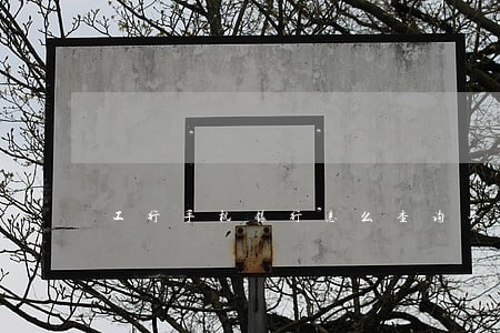 工行手机银行怎么查询本行卡逾期 工行手机银行怎么查询本行卡逾期