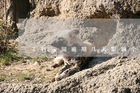 工行按揭逾期几天影响个人信用 工行按揭逾期几天影响个人信用