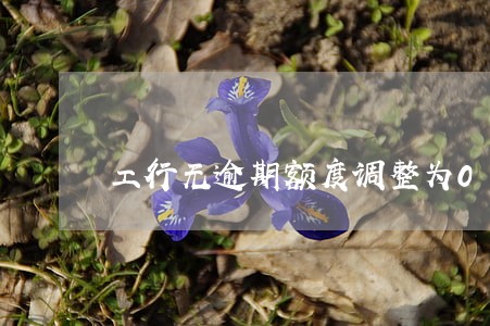 工行无逾期额度调整为0 工行无逾期额度调整为0