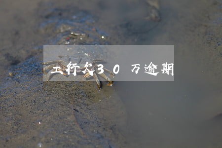 工行欠30万逾期 工行欠30万逾期
