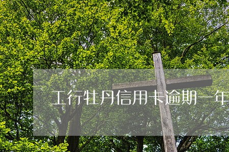 工行牡丹信用卡逾期一年 工行牡丹信用卡逾期一年