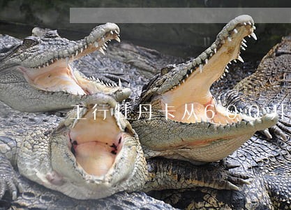 工行牡丹卡从600开始逾期