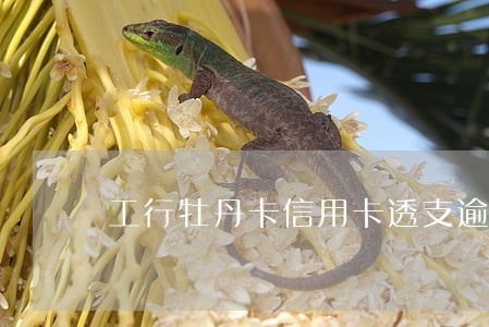 工行牡丹卡信用卡透支逾期 工行牡丹卡信用卡透支逾期