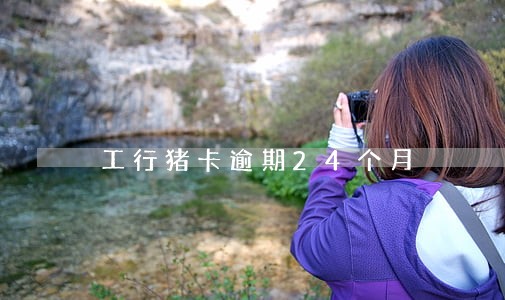 工行猪卡逾期24个月 工行猪卡逾期24个月