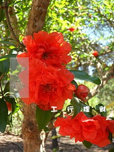 工行理财有逾期的吗 工行理财有逾期的吗