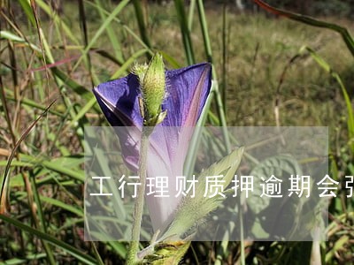 工行理财质押逾期会强制买吗 工行理财质押逾期会强制买吗