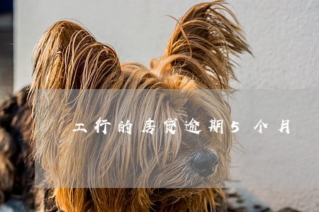 工行的房贷逾期5个月 工行的房贷逾期5个月