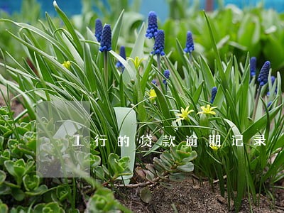 工行的贷款逾期记录 工行的贷款逾期记录