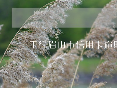 工行眉山市信用卡逾期人数 工行眉山市信用卡逾期人数