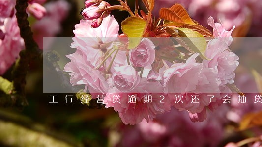 工行经营贷逾期2次还了会抽贷吗 工行经营贷逾期2次还了会抽贷吗