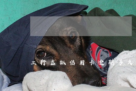 工行虚拟信用卡逾期多久上征信