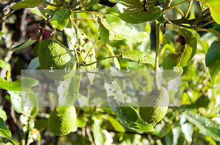 工行融e借5千逾期一年多少钱 工行融e借5千逾期一年多少钱