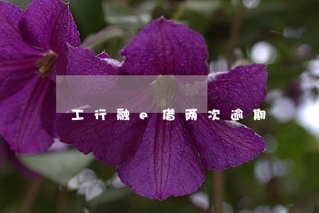 工行融e借两次逾期 工行融e借两次逾期