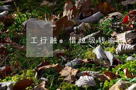 工行融e借垃圾转逾期 工行融e借垃圾转逾期