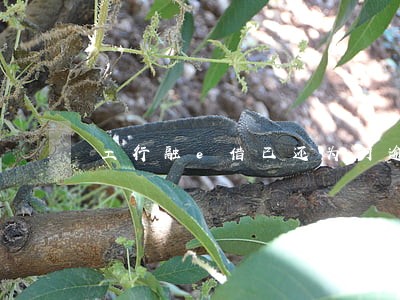 工行融e借已还为何逾期 工行融e借已还为何逾期
