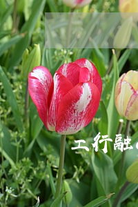 工行融e借提前还款算逾期 工行融e借提前还款算逾期