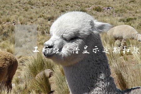工行融e借显示逾期扣款 工行融e借显示逾期扣款