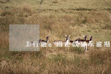 工行融e借还款显示逾期还款 工行融e借还款显示逾期还款