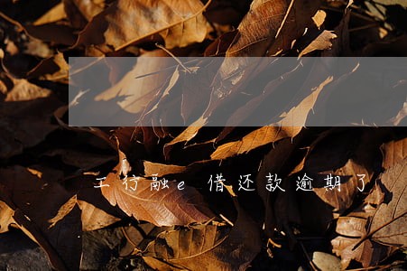 工行融e借还款逾期了