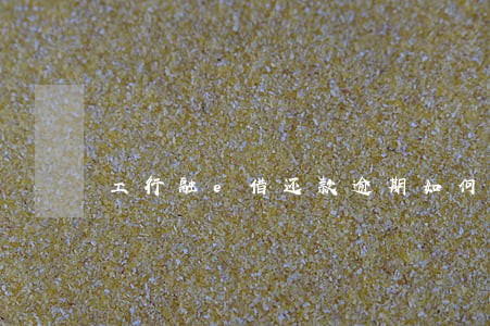 工行融e借还款逾期如何还款 工行融e借还款逾期如何还款