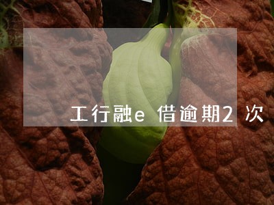 工行融e借逾期2次 工行融e借逾期2次