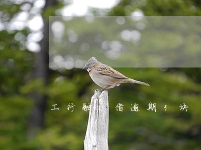 工行融e借逾期3块 工行融e借逾期3块