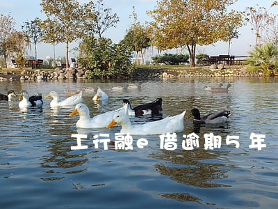 工行融e借逾期5年 工行融e借逾期5年